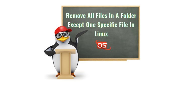 Remove All Files In A Folder Except One Specific File In Linux