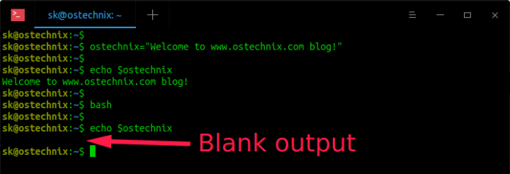 Difference Between Defining Bash Variables With And Without Export LaptrinhX